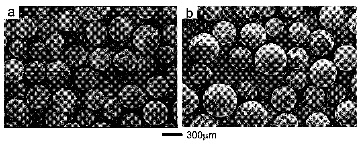 Smooth-surfaced gelatin microsphere and preparation method