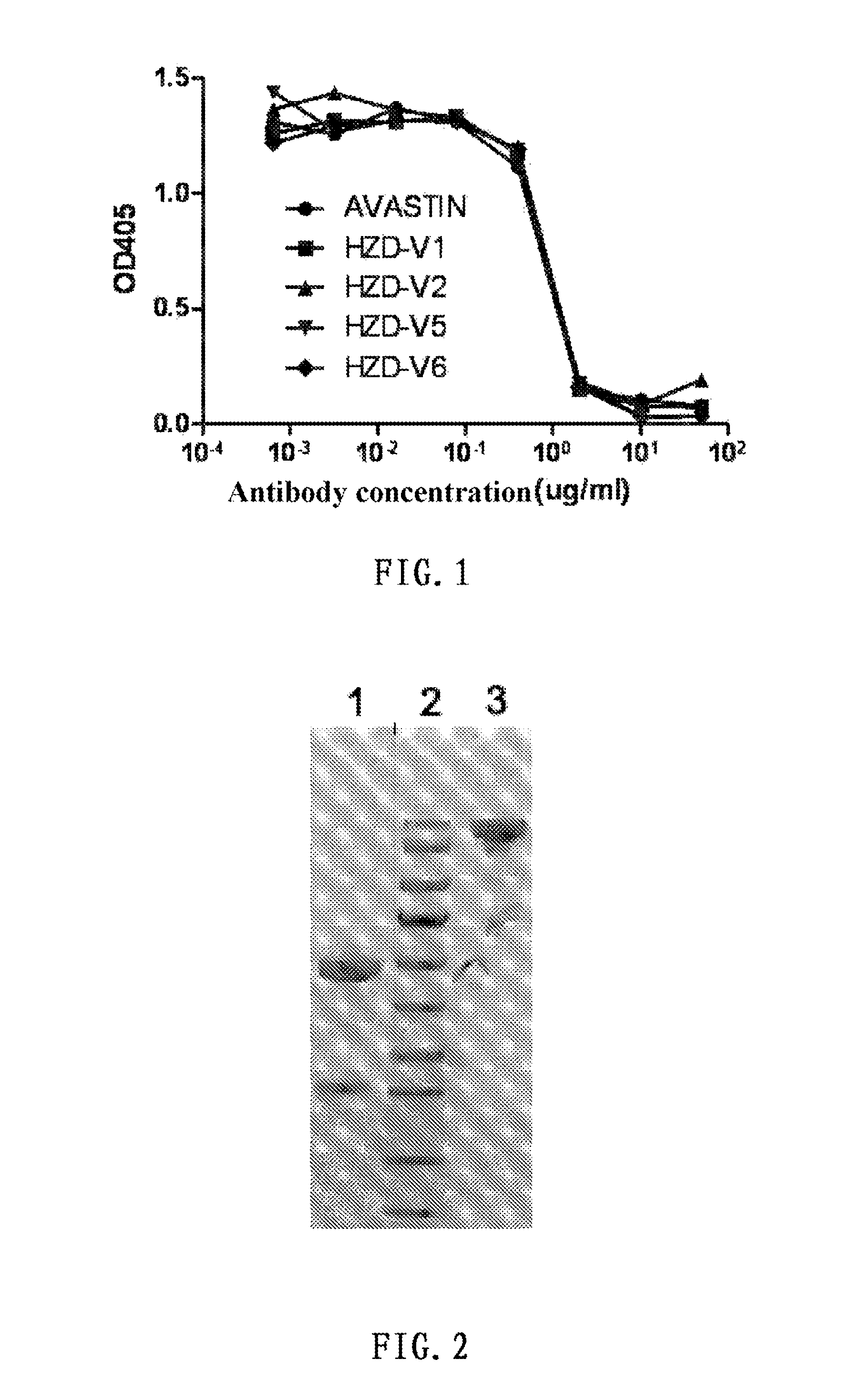 Anti-VEGF monoclonal antibody and pharmaceutical composition comprising said antibody