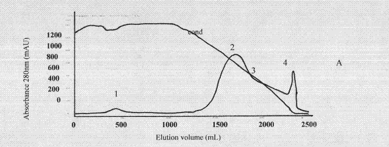 Lyophilized viper antivenin and preparation method thereof