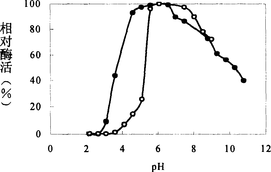 Method for producing xylobiose, and dedicated immobilized enzyme