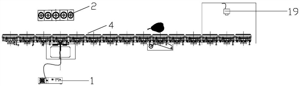 Online fruit detection device and use method thereof