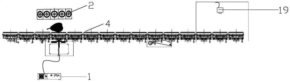 Online fruit detection device and use method thereof