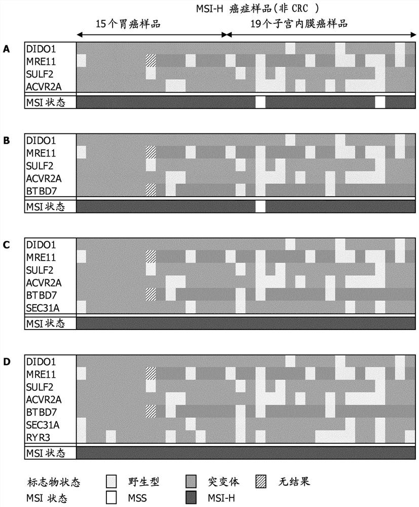 Biomarker panel and methods for detecting microsatellite instability in cancers