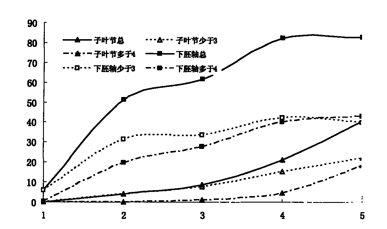 Genetic transformation method for soybean