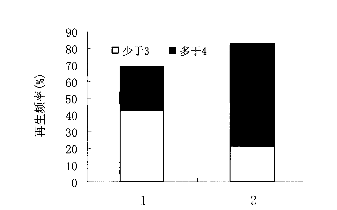 Genetic transformation method for soybean