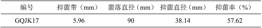 Bacillus atrophaeus antagonistic to lycium chinensis root rot and application of bacillus atrophaeus