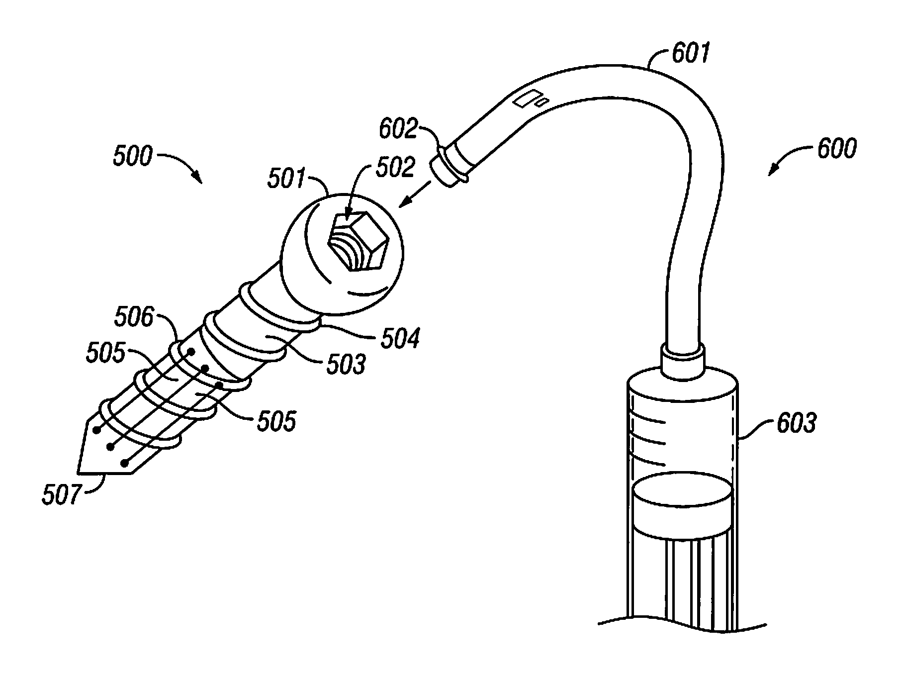 Screw With Anchor Features