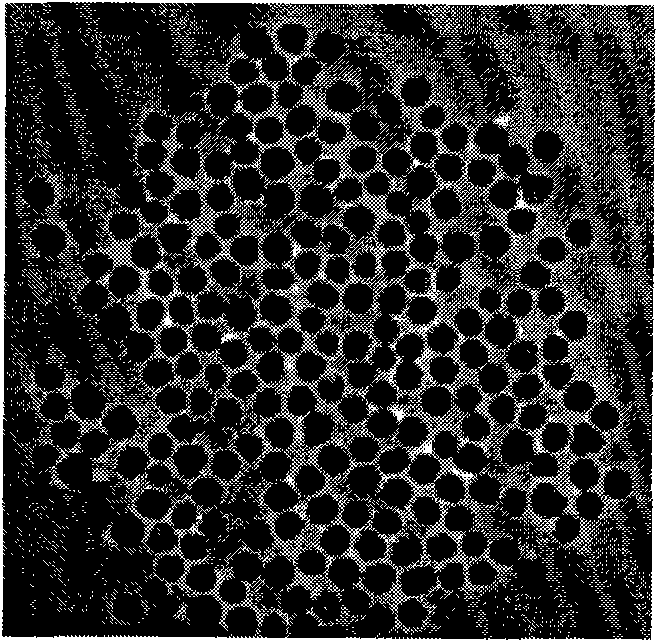 Method for quickly testing melamine content in milk powder by using gold nanoparticle colorimetric method