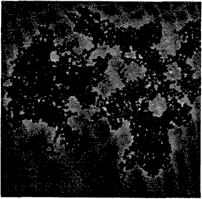 Method for quickly testing melamine content in milk powder by using gold nanoparticle colorimetric method