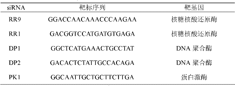 Target spot selecting method for efficiently inhibiting WSSV (White Spot Syndrome Virus)