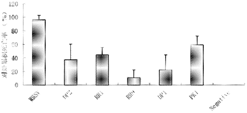 Target spot selecting method for efficiently inhibiting WSSV (White Spot Syndrome Virus)