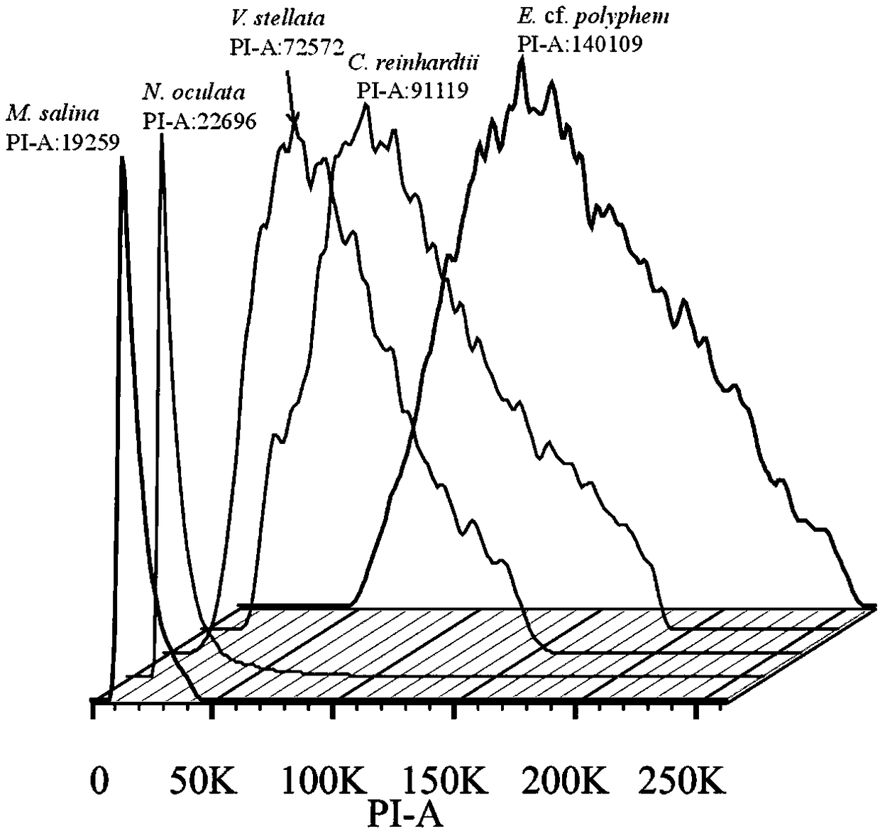 Method for determining size of single-cell eukaryotic algae genome