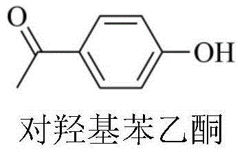 Method for preparing p-hydroxyacetophenone by catalytically oxidizing paraethyl phenol with metalloporphyrin-metal salt composite catalyst