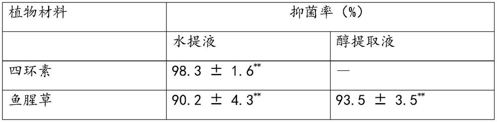 A traditional Chinese medicine composition for inhibiting the formation of dental plaque, its preparation method and its application