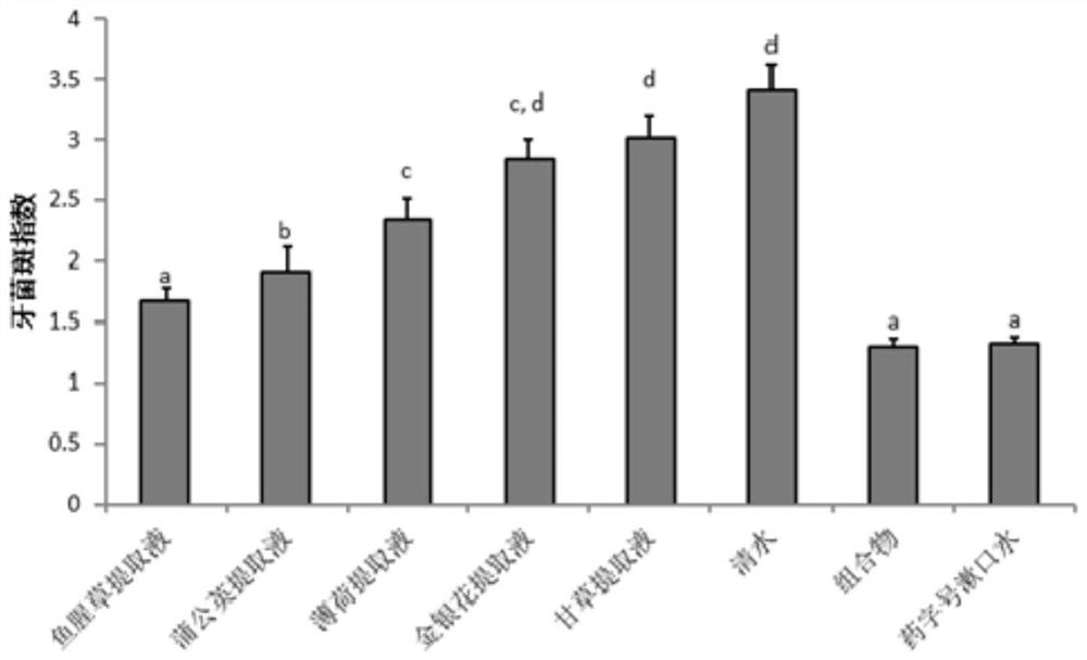 A traditional Chinese medicine composition for inhibiting the formation of dental plaque, its preparation method and its application