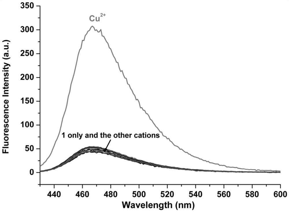 A kind of pyridine-coumarin derivative fluorescent probe and its preparation method and application
