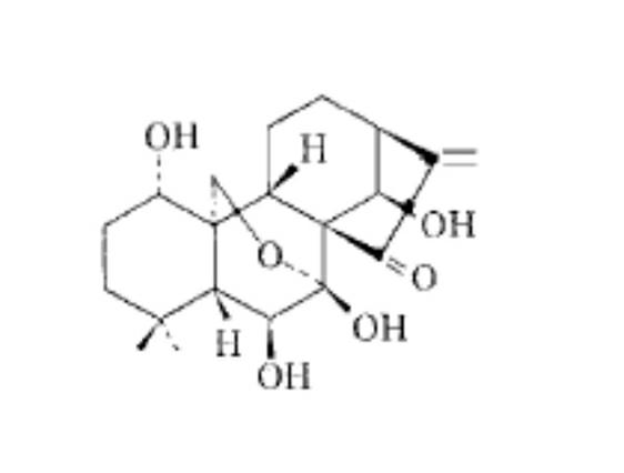 Biological transformation and synthesis method of rubescensin