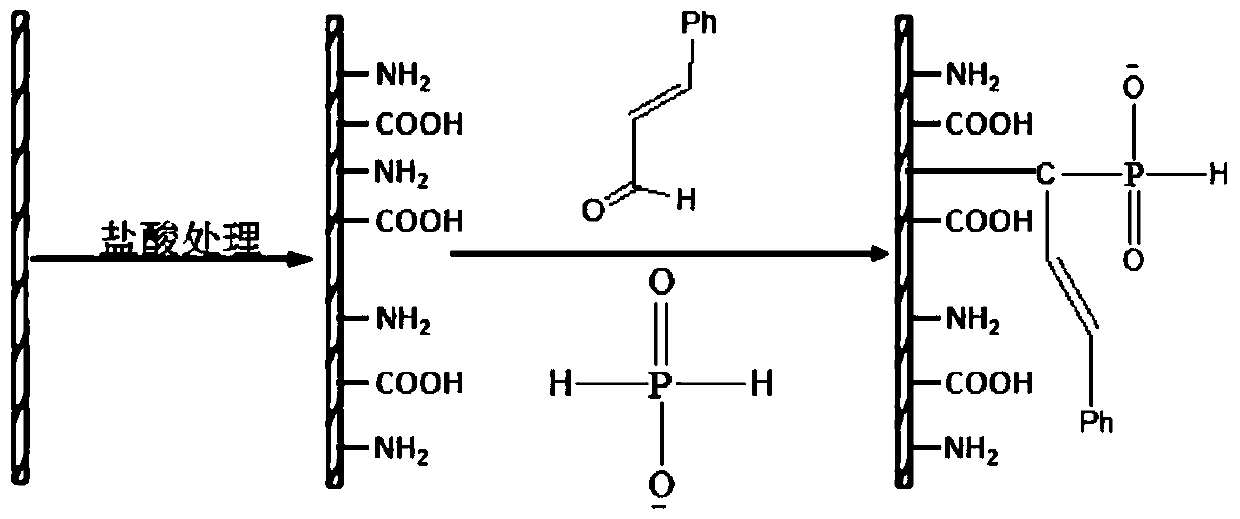 Anionic polyelectrolyte, post-finishing flame retardant method of nylon fabric