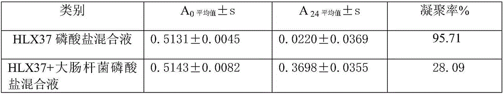 Bee pollen containing probiotics and preparation method thereof