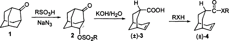 Inhibitor of tricycro beta lactamase and preparation method