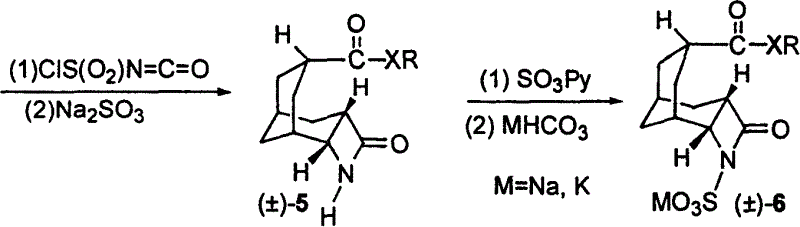 Inhibitor of tricycro beta lactamase and preparation method