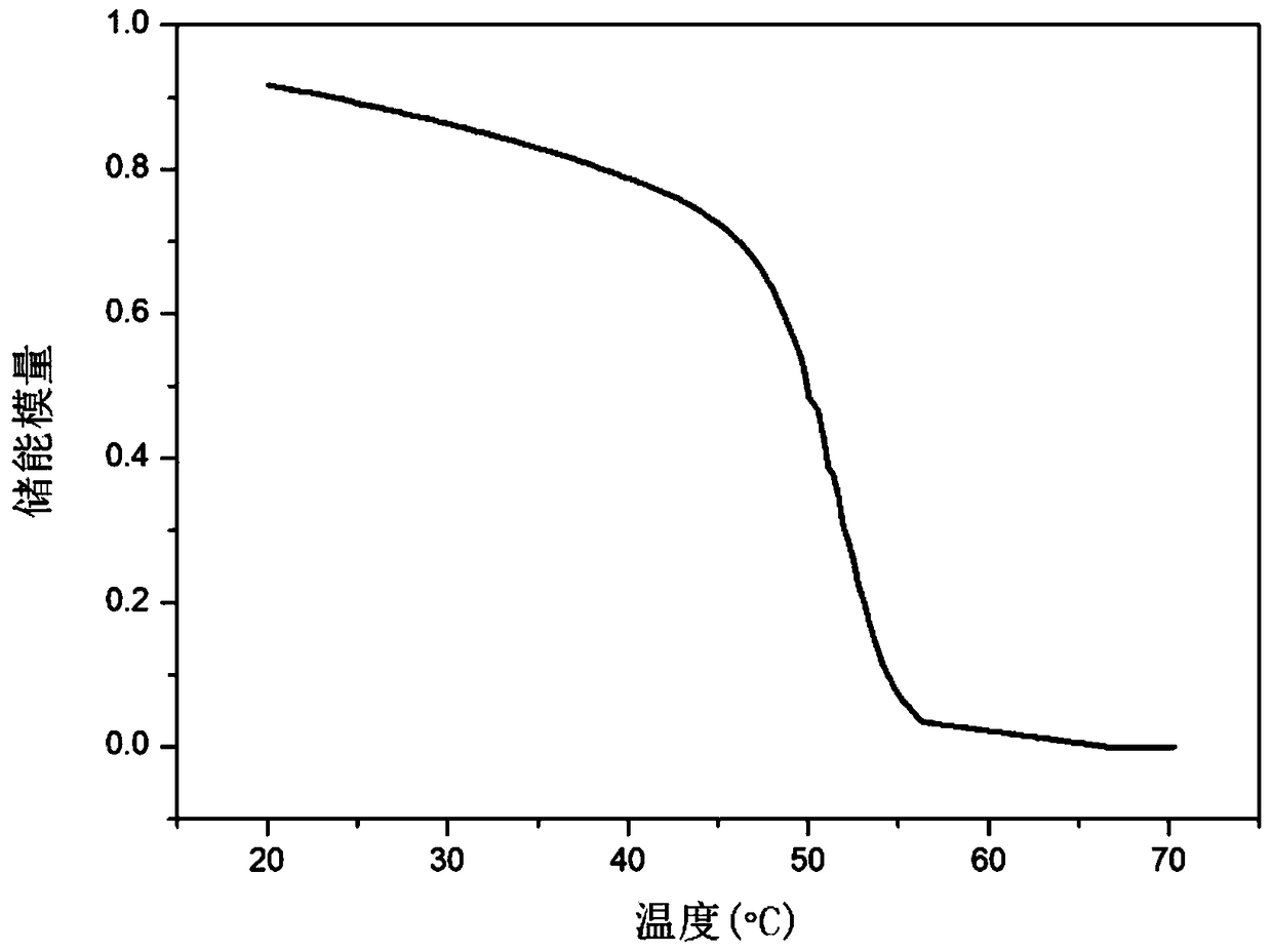 Polymer system and preparation method thereof