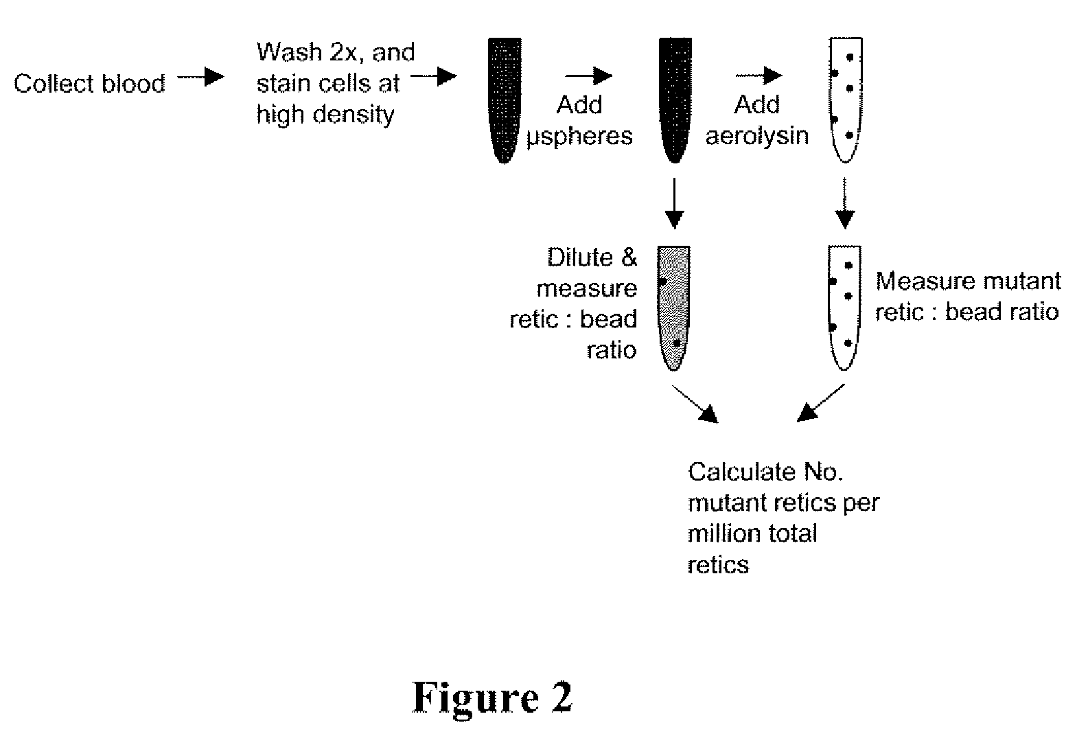 Method for measuring in vivo mutation frequency at an endogenous gene locus