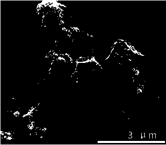 Preparation method for hollow micro-structure Co3S4@MoS2 of lithium ion battery negative electrode by MOF template