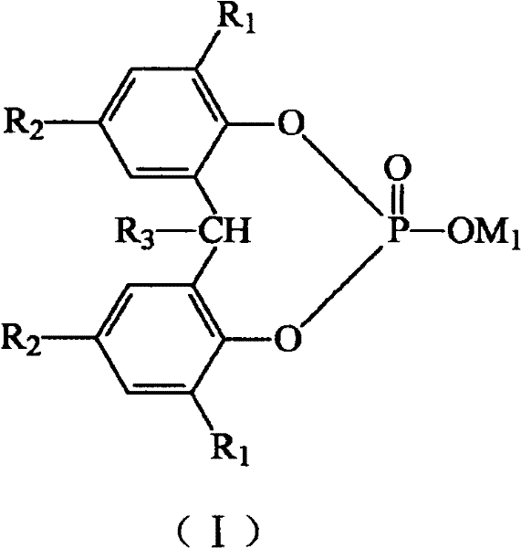 Ultrasonic preparation method of fine transparent nucleating agent