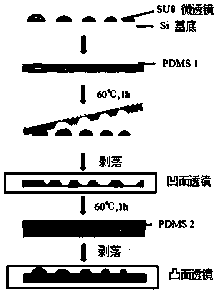 Silicon wafer template for preparing micro-lens array structure, preparation method of micro-lens array structure and protective film