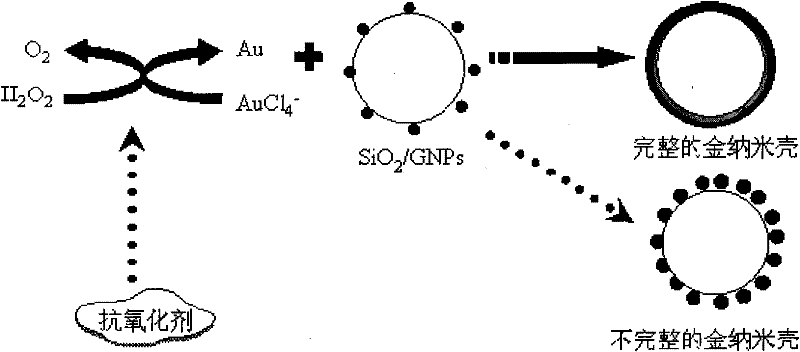 Gold nanoshell-based method for determining capability of antioxidant for clearing H2O2