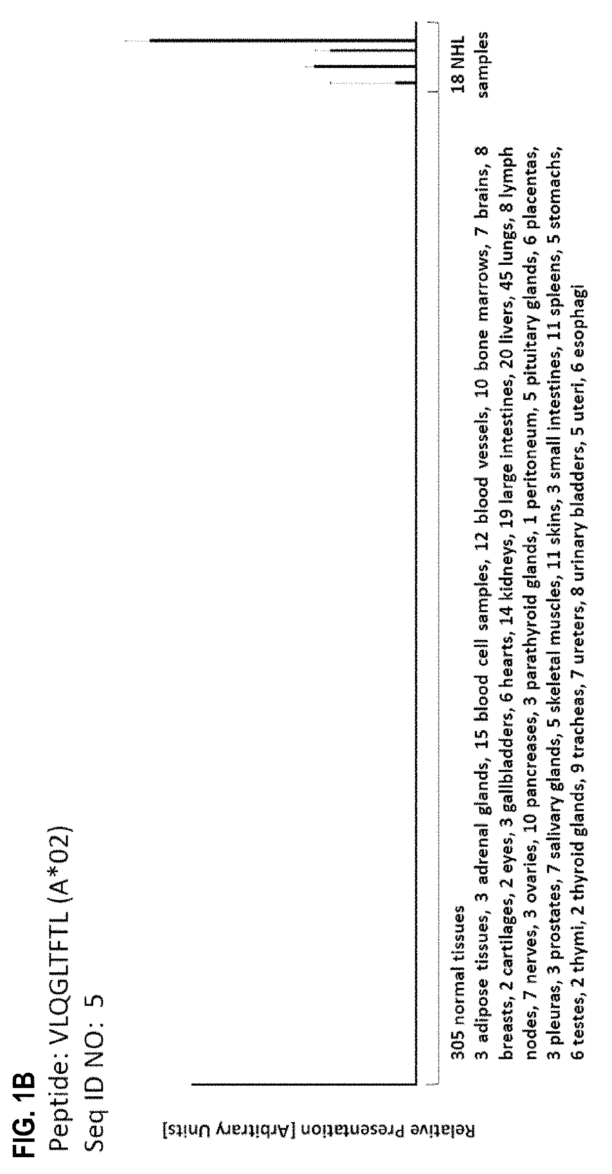 Novel peptides and combination of peptides for use in immunotherapy against nhl and other cancers