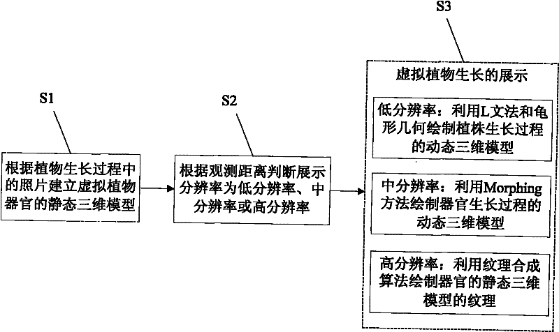 Display method of growth of virtual plant