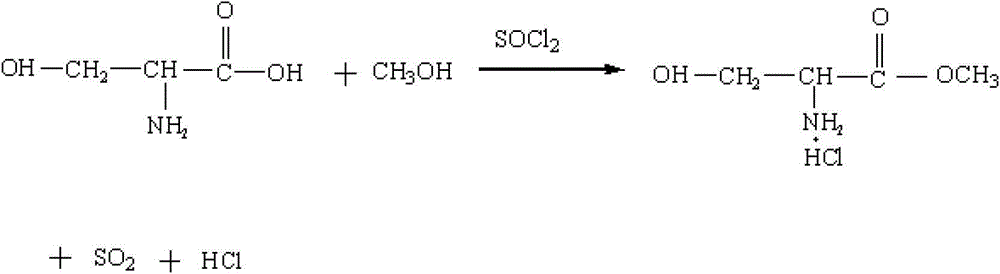 Method for preparing N-acetyl-beta-chlorine-L-alanine methyl ester