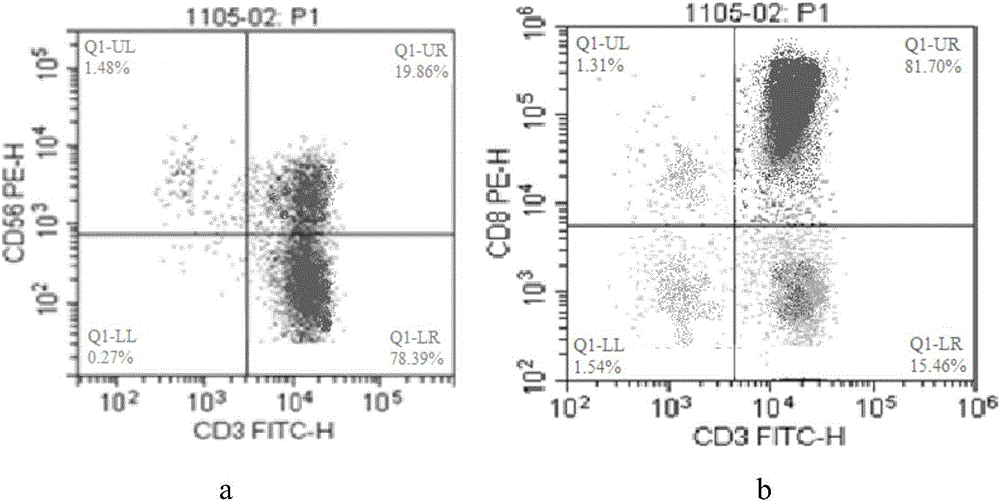 CIK (cytokine induced killer) cell and culture method and application thereof