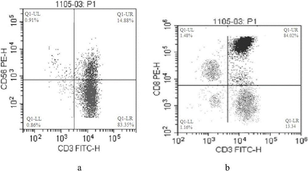 CIK (cytokine induced killer) cell and culture method and application thereof