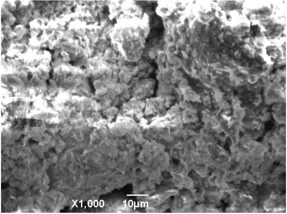 A kind of geopolymer-polymer composite board and its preparation method