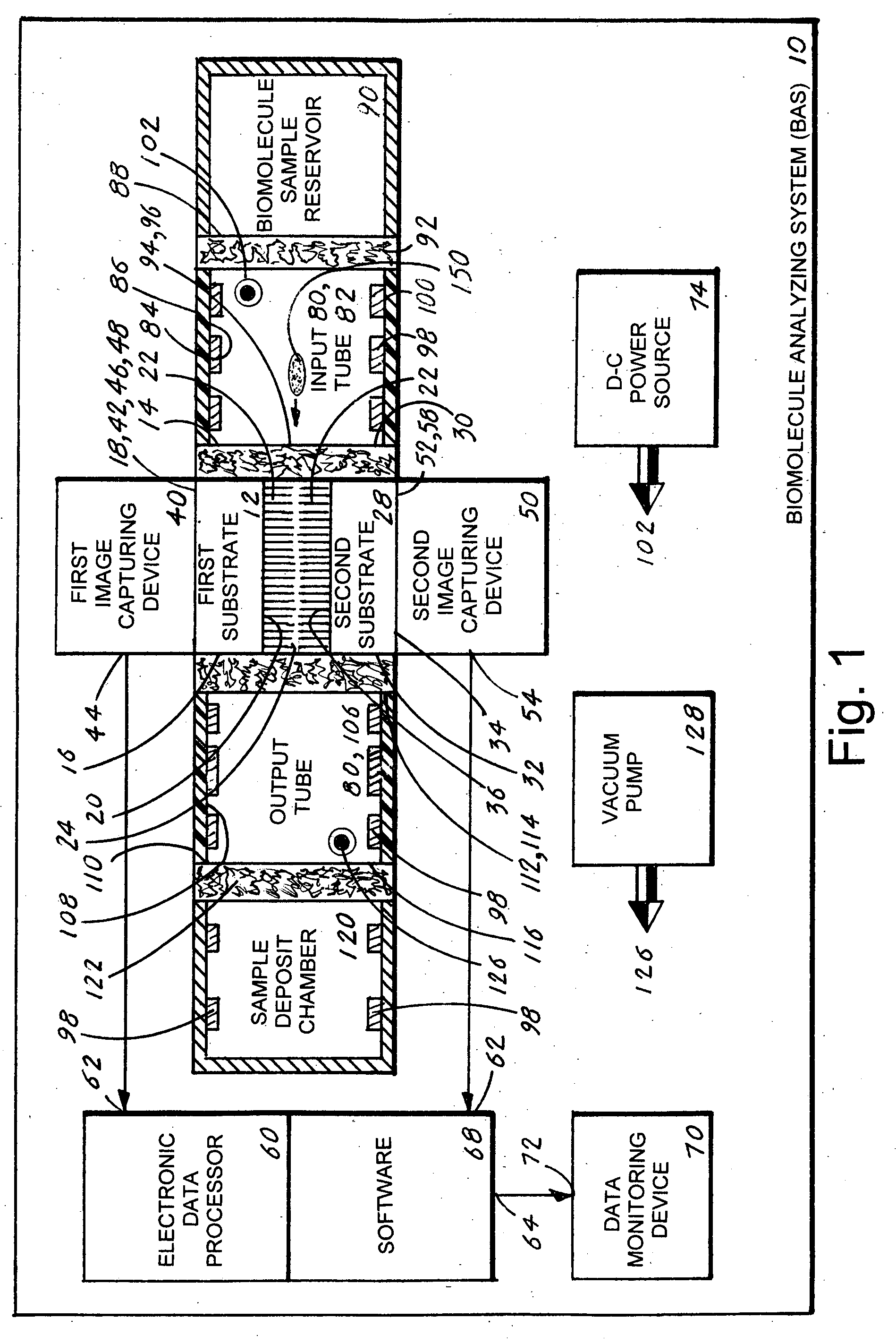 Biomolecule analyzing system