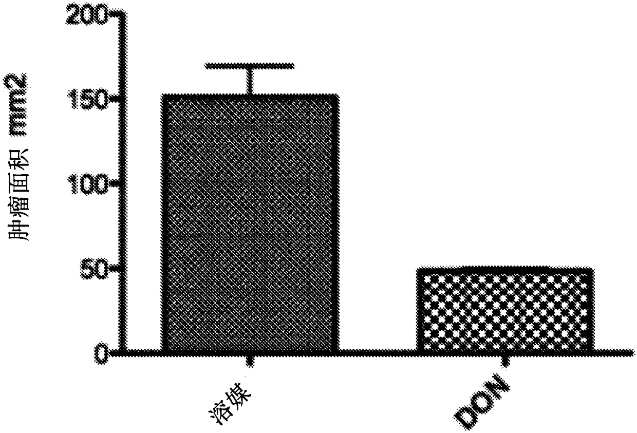 Methods for cancer and immunotherapy using glutamine analogues, including don