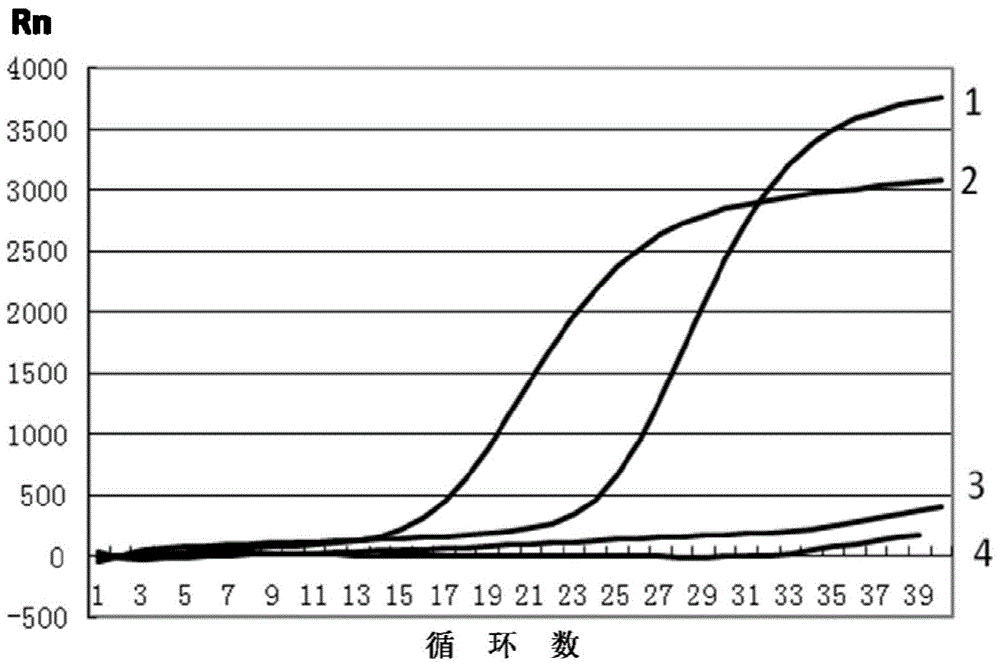 Primers and probes for the detection of foot-and-mouth disease virus universal, type a duplex real-time fluorescent quantitative PCR