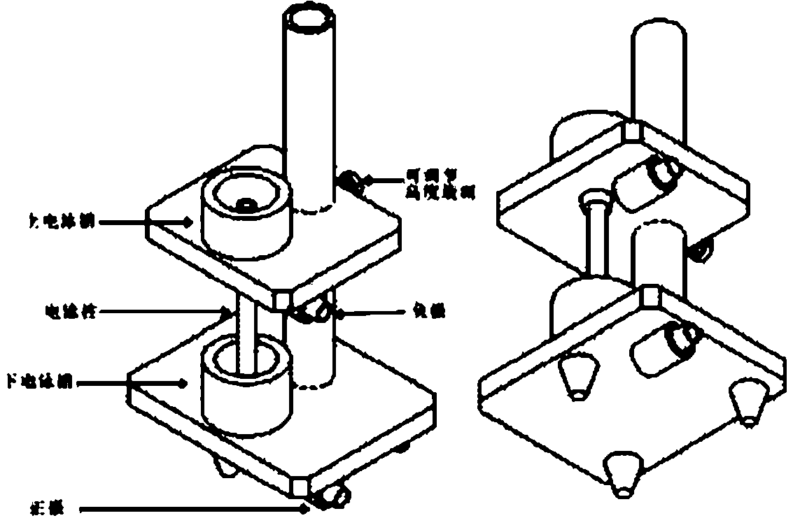 Multiple detection method for DNA polymorphism of genome and special probe thereof