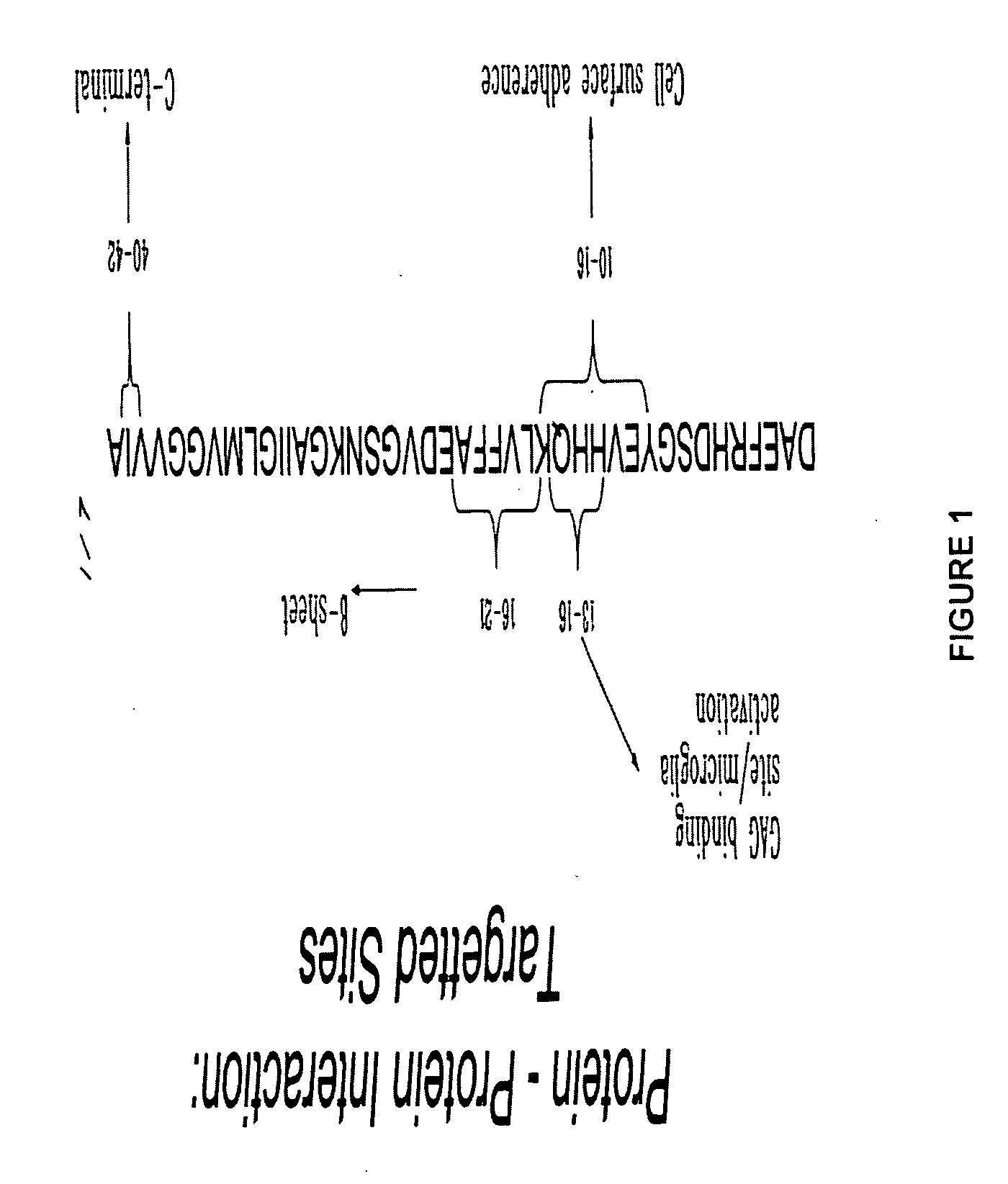 Stereoselective antifibrillogenic peptides and peptidomimetics thereof