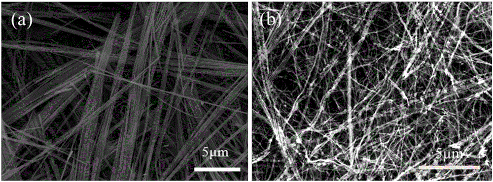 Preparation method of self-support lithium ion battery cathode material