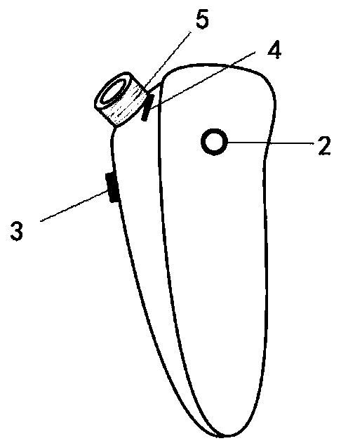 Exhalation acquisition device for liver disease patients and photo-acoustic detection method for ammonia and methyl mercaptan in exhalations