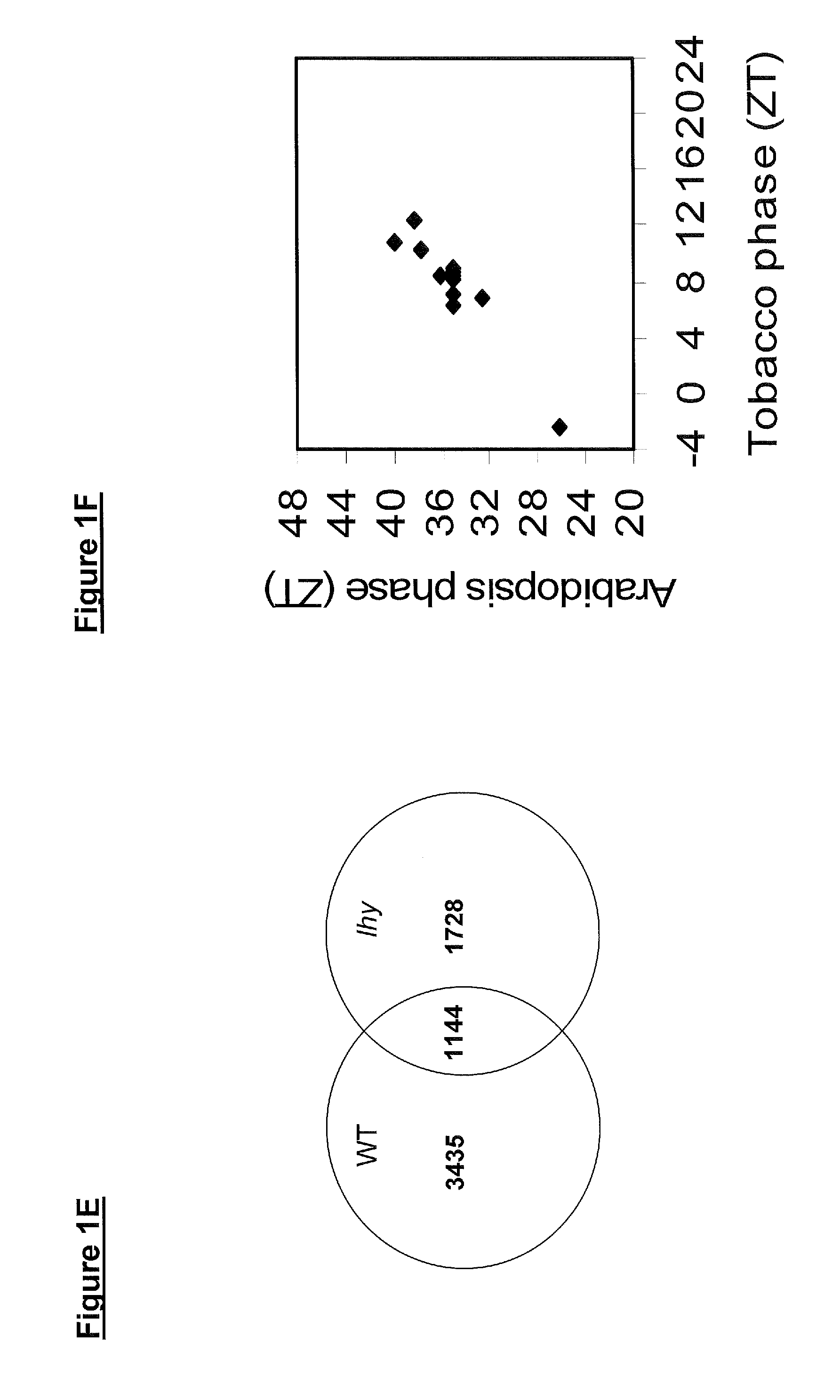 Transgenic plants having altered lignin density