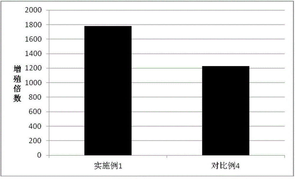 Separation and efficient amplification culture method for antigen specific T lymphocyte