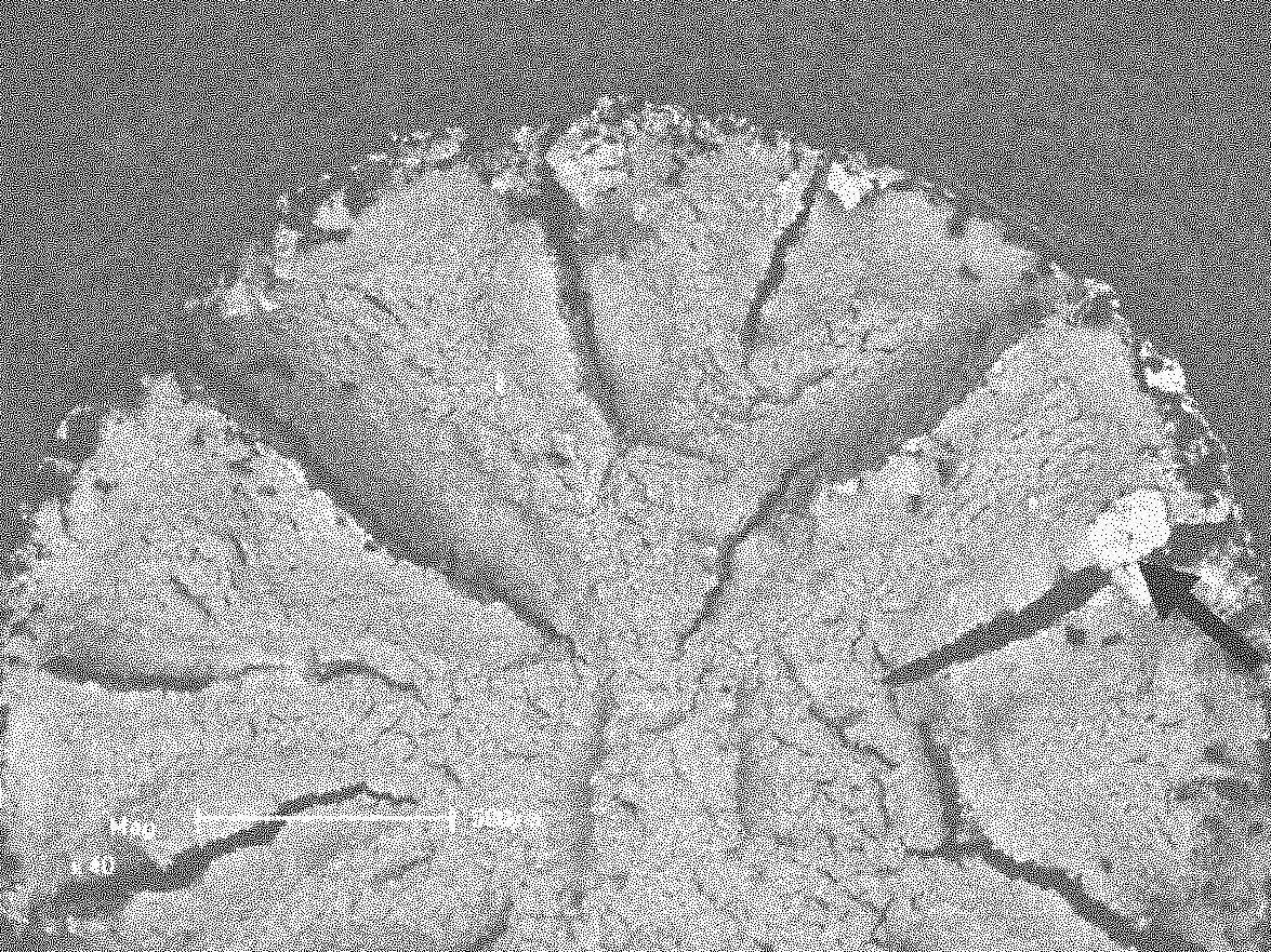 Method for producing nitrogen controlling low activity ferrite martensite steel for fusion reactor