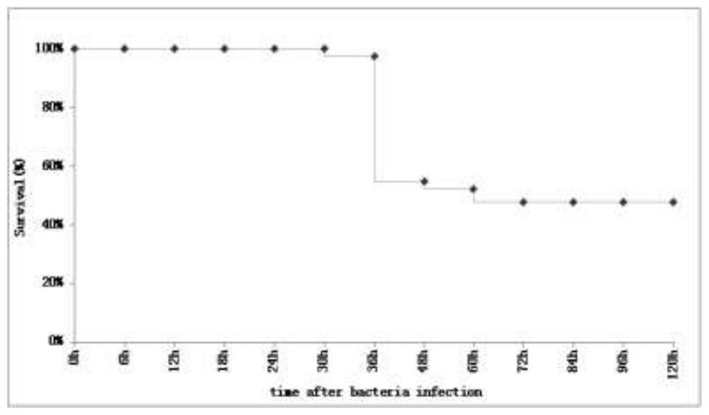 Body fluid small molecule metabolic marker for zebra fish infected with Edwardsiella tarda and application thereof