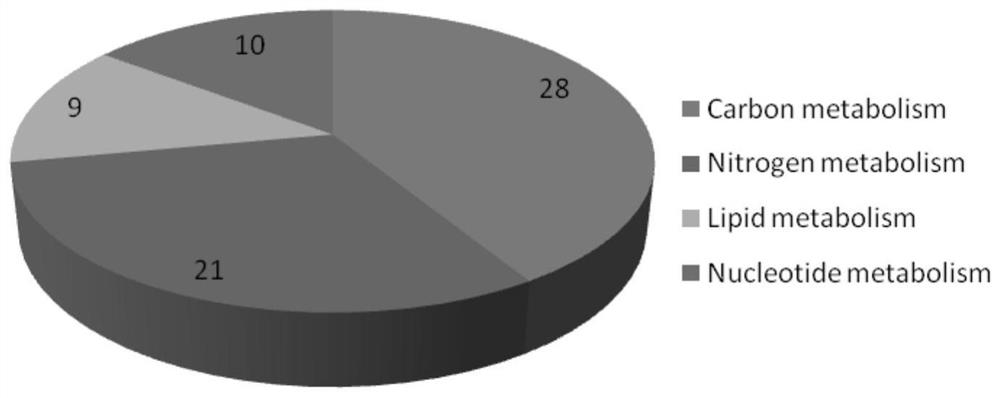 Body fluid small molecule metabolic marker for zebra fish infected with Edwardsiella tarda and application thereof