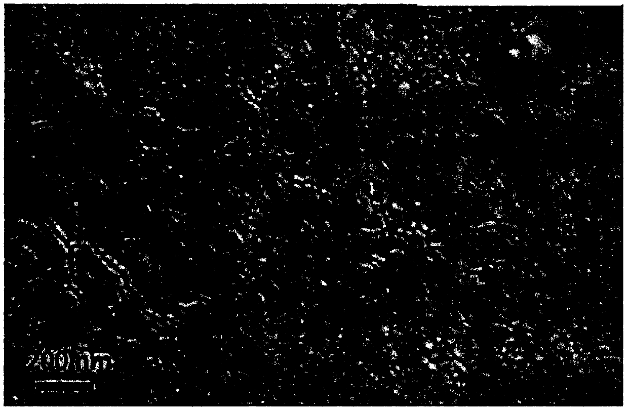 PbS colloidal quantum dot film surface acoustic wave gas sensor